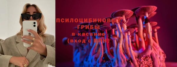 спиды Алексеевка
