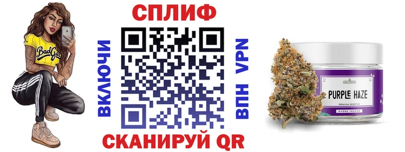Каннабис сатива  Кувшиново 